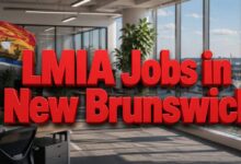 LMIA Jobs in New Brunswick
