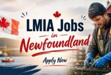 LMIA Jobs in Newfoundland
