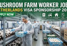 Mushroom Farm Worker Jobs in Netherlands with Visa Sponsorship 2026