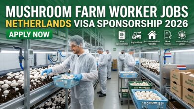 Mushroom Farm Worker Jobs in Netherlands with Visa Sponsorship 2026