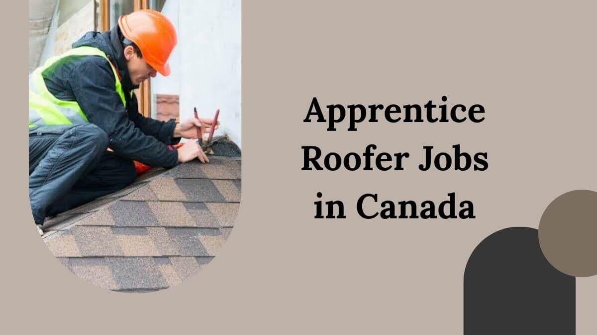 Apprentice Roofer Jobs in Canada