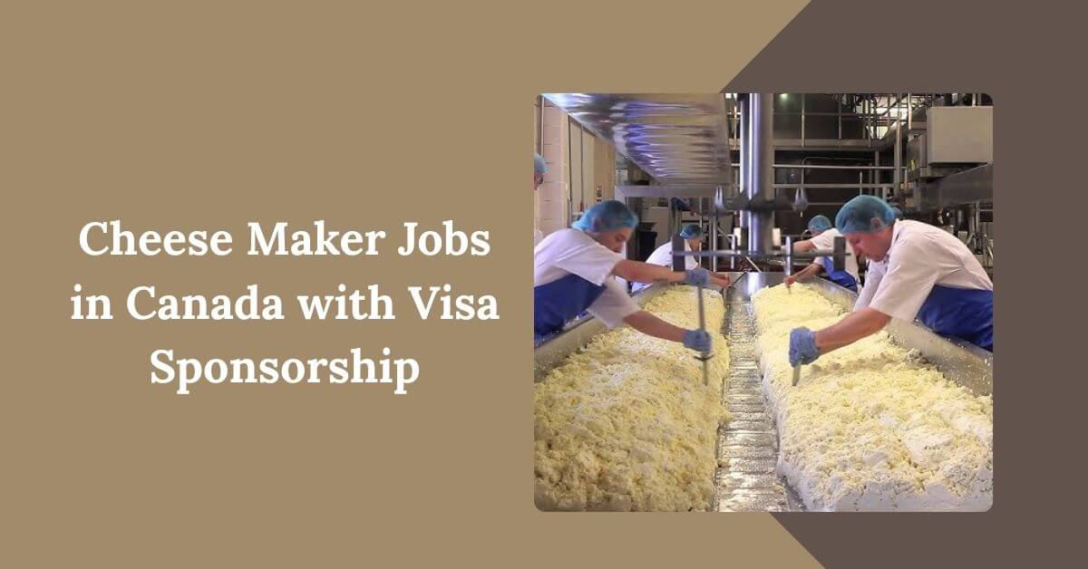 Cheese Maker Jobs in Canada with Visa Sponsorship