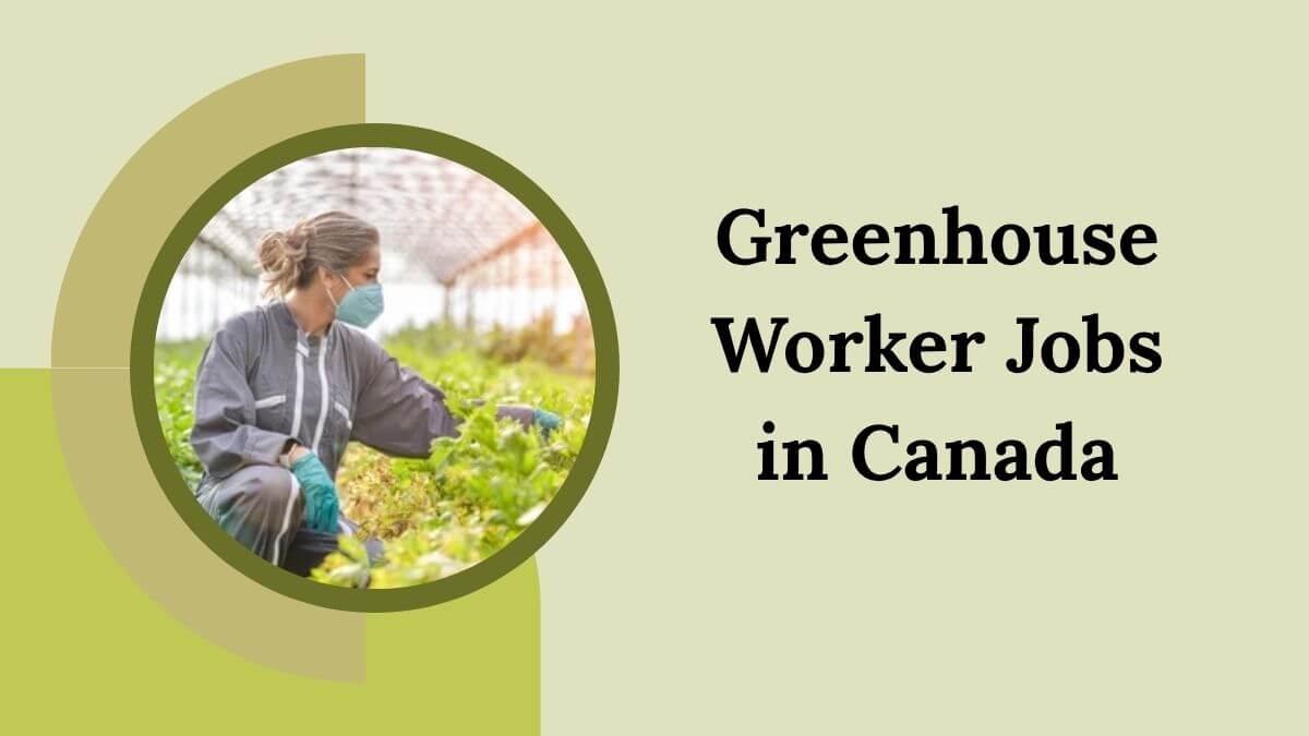 Greenhouse Worker Jobs in Canada