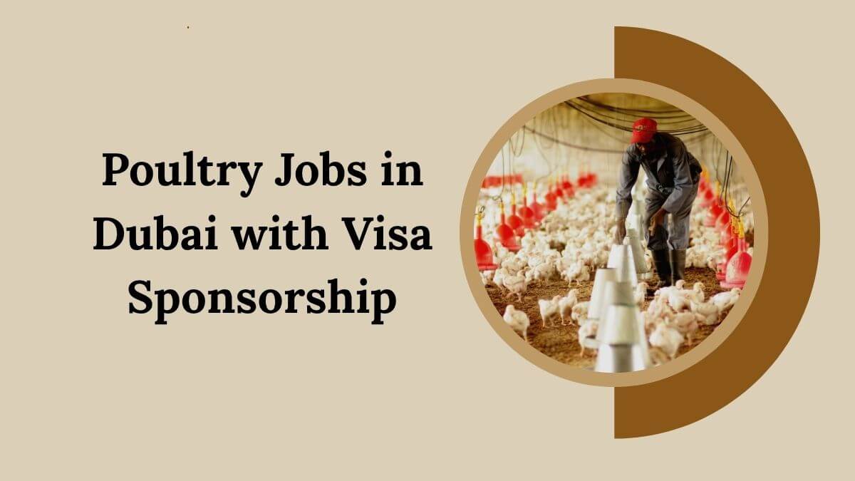 Poultry Jobs in Dubai with Visa Sponsorship