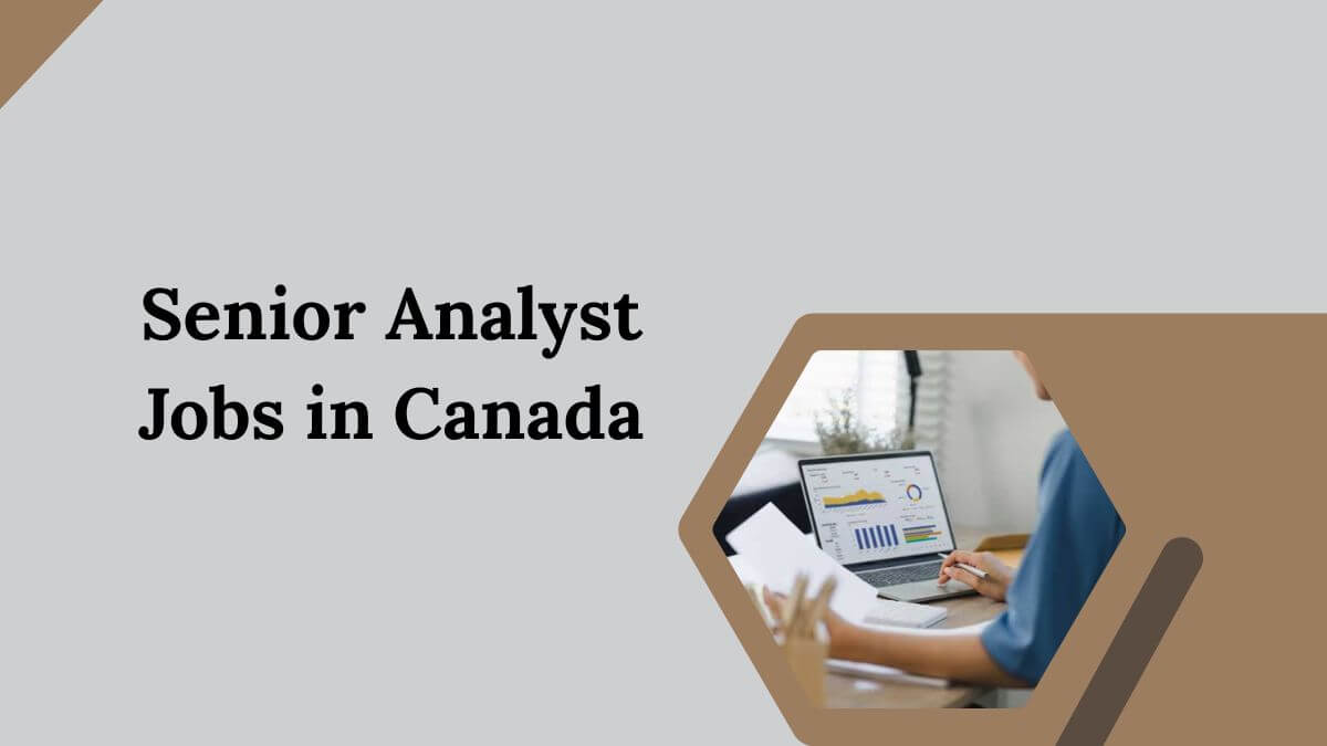 Senior Analyst Jobs in Canada