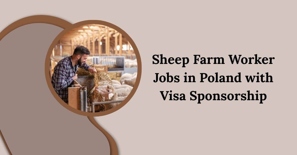Sheep Farm Worker Jobs in Poland with Visa Sponsorship