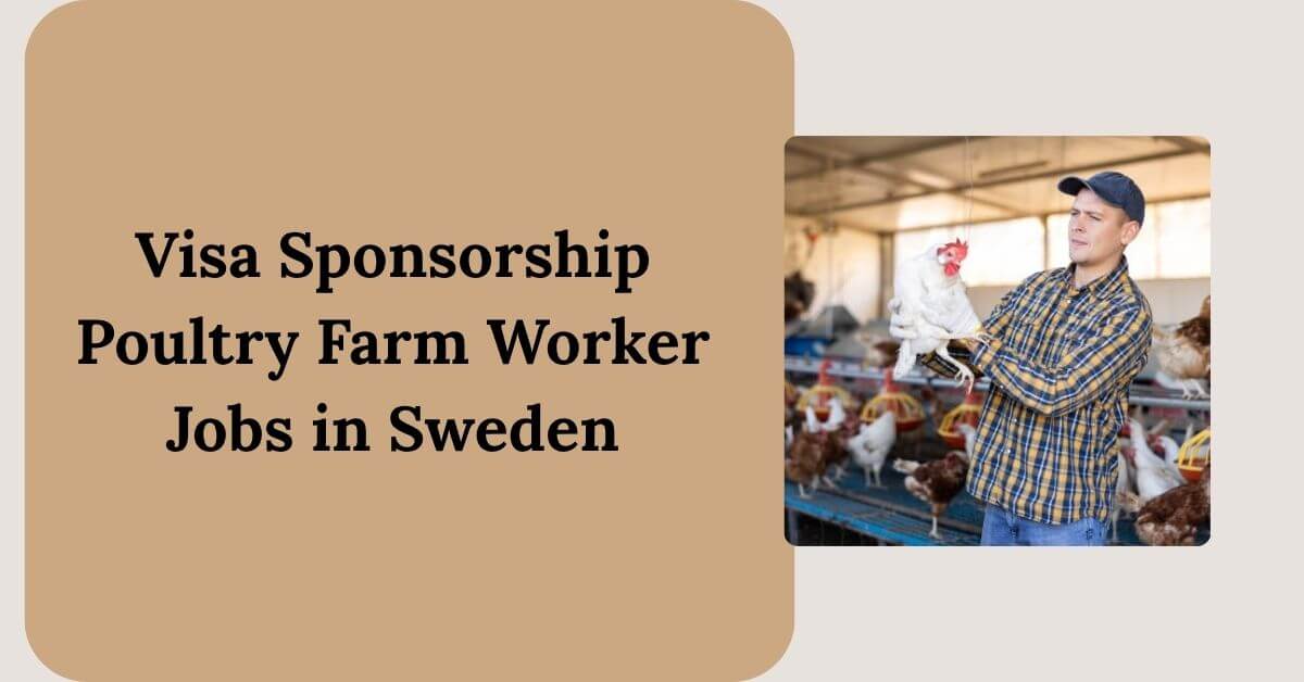 Visa Sponsorship Poultry Farm Worker Jobs in Sweden