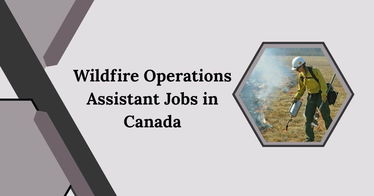 Wildfire Operations Assistant Jobs in Canada