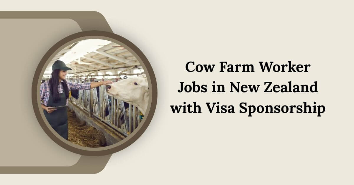 Cow Farm Worker Jobs in New Zealand with Visa Sponsorship