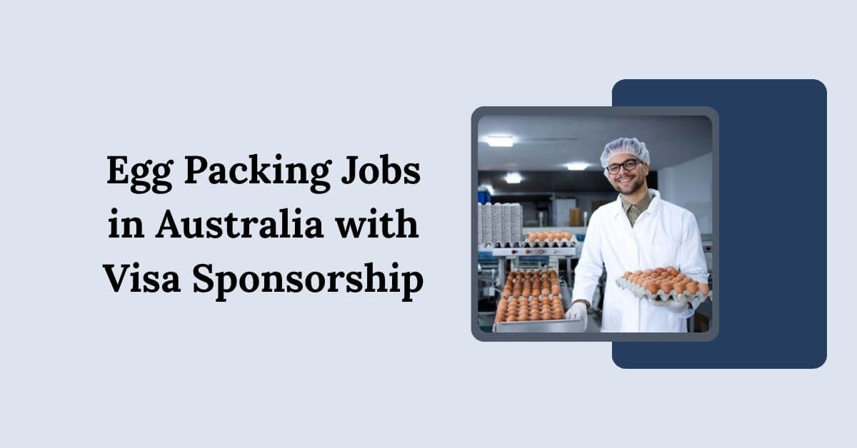Egg Packing Jobs in Australia with Visa Sponsorship