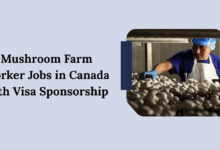 Mushroom Farm Worker Jobs in Canada with Visa Sponsorship