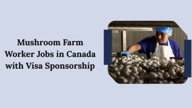 Mushroom Farm Worker Jobs in Canada with Visa Sponsorship