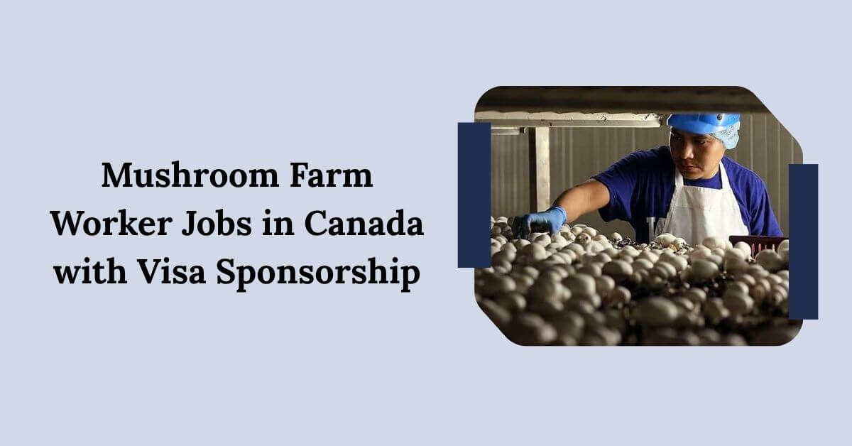 Mushroom Farm Worker Jobs in Canada with Visa Sponsorship