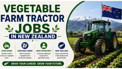 Vegetable Farm Tractor Jobs in New Zealand