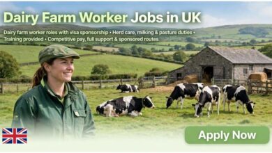 Dairy Farm Worker Jobs in UK with Visa Sponsorship