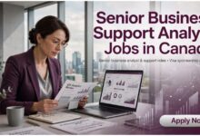 Senior Business Support Analyst Jobs in Canada